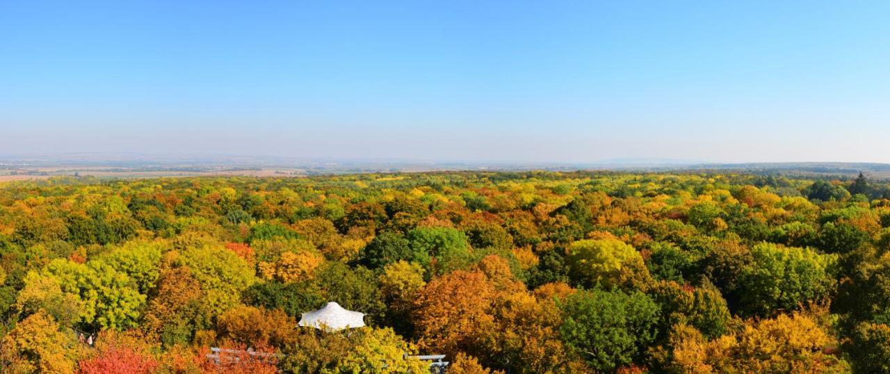 Schloss Goldacker - Das Schloss Der Gesundheit Weberstedt Bagian luar foto